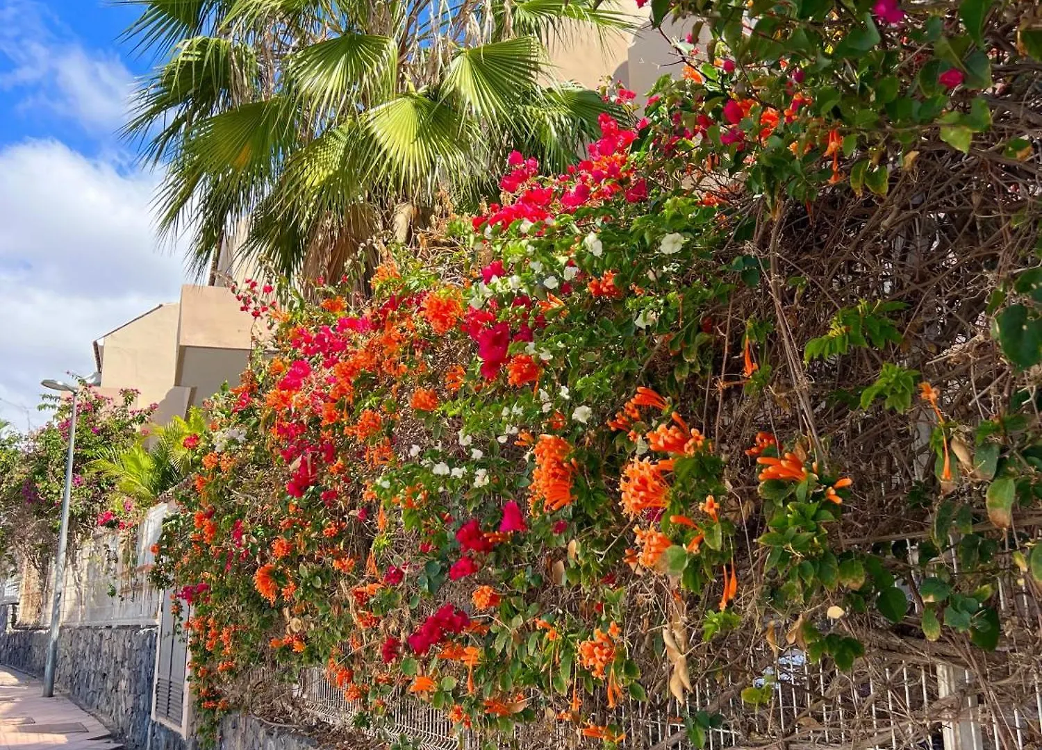 סן מיגל דה אבונה Paz Ocean View, Air Condition, Wifi, Heated Pool דירה