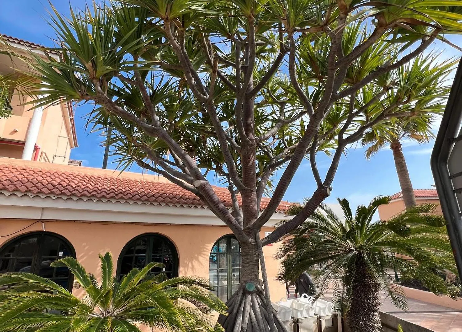 Paz Ocean View, Air Condition, Wifi, Heated Pool San Miguel de Abona Apartment
